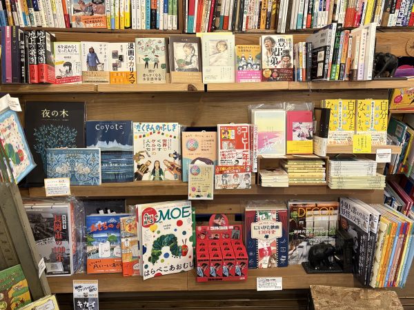 ブックスはせがわが選ぶ本のセレクト